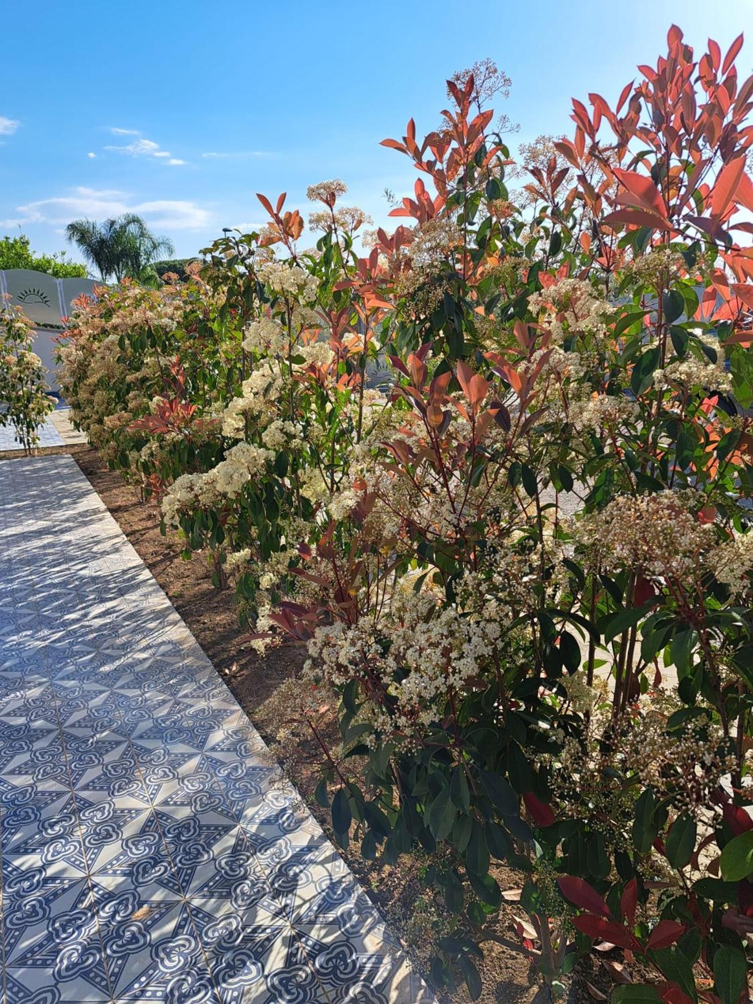 Paoma Bed & Breakfast Agropoli Bagian luar foto